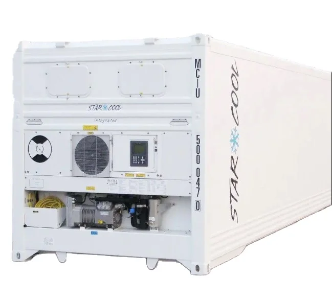 New  Refrigerated Freezer Frozen Fish and Meat Transport 20ft 20 ft Refrigerated Reefer Container