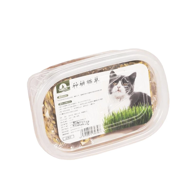 Кошачий котенок горшечные растения увеличивают питание кошачья трава плантатор Набор для выращивания