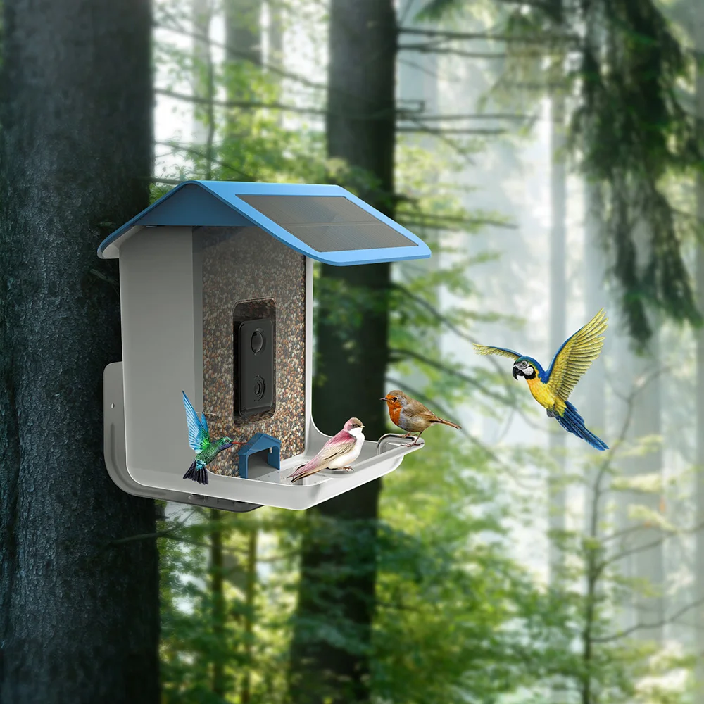 Outdoor Wildlife Smart Bird Feeder with AI Recognition APP Control Camera Bird Watching Camera Auto Capture Bird Videos Pictures