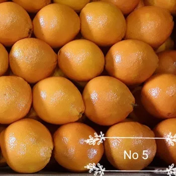 
Exports best price fruits oranges fresh from greece 