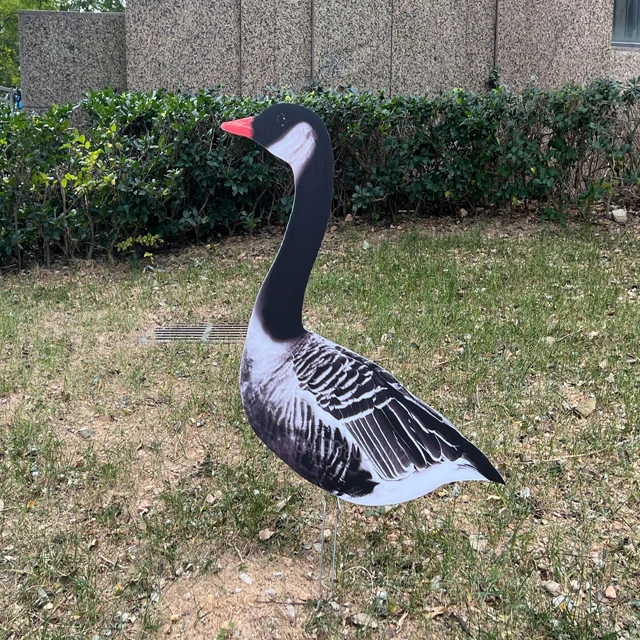 New design pp corrugated sheet snow goose decoys silhouette decoy hunting for sale