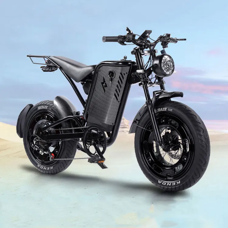 20-Inch Retro Spoke Wheel Electric Bicycle with Wide Off-Road Fat Tire Pedal Assist Steel Frame 48V Voltage Snowy Look