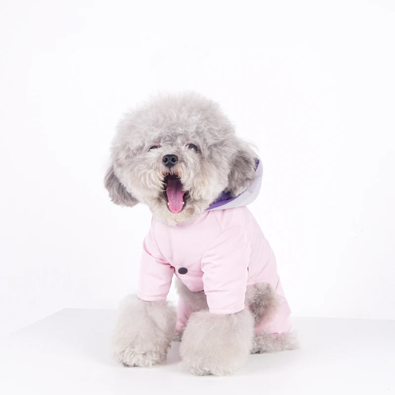 SHUMON 3 Color Spring Puppy Cute Cartoon Rabbit Print Fashion Color Hoodie Kitten Indoor and Outdoor Casual Sports Jacket