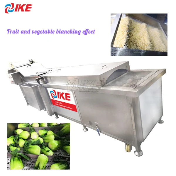 Industrial Large Batch Fruit And Vegetable Cooling Machine Chinese Cabbage Cucumber Mushroom Blanching Food