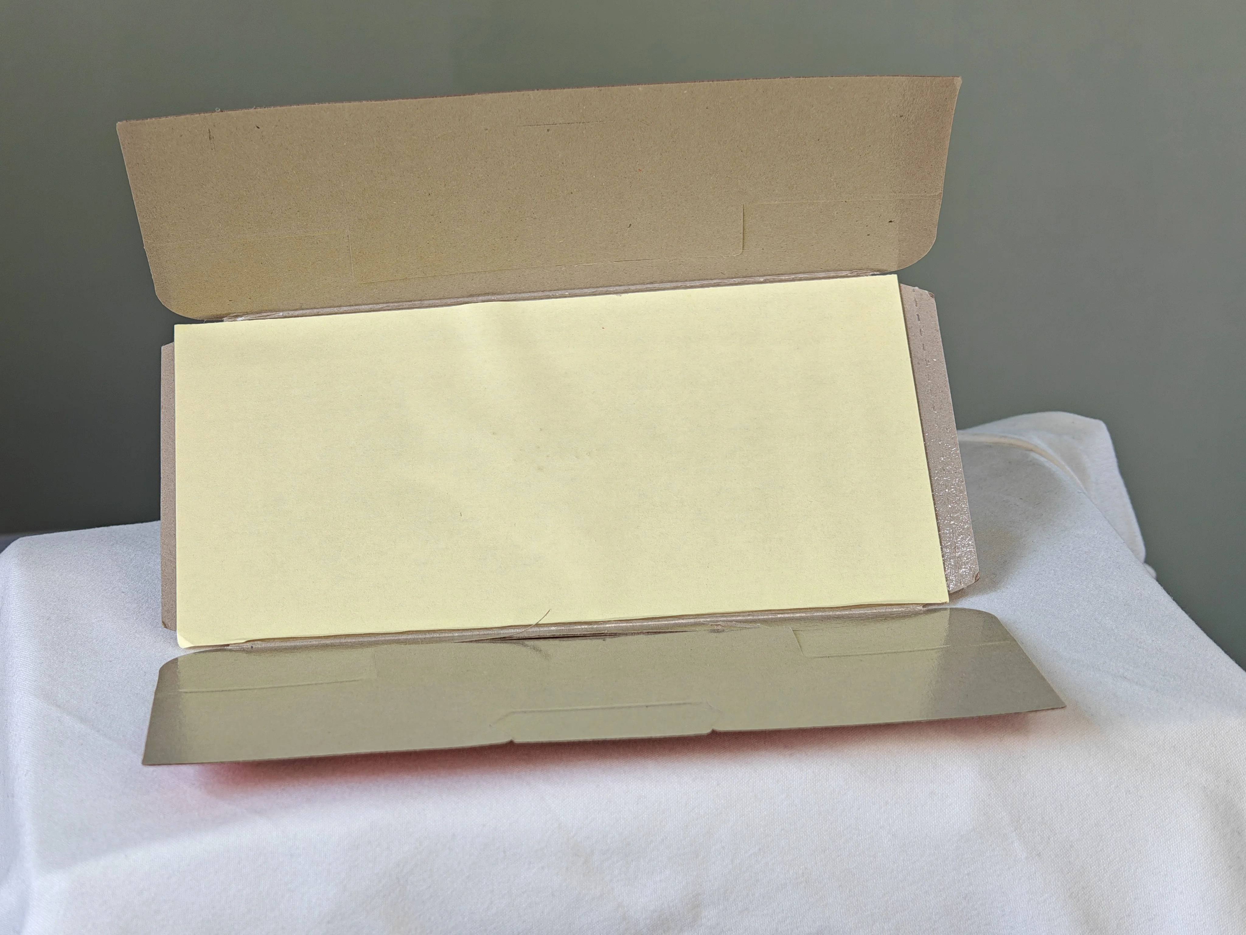 Portable Eco-Friendly Sticky Cockroach Trap Effective Glue Pest Control for Kitchen Restaurant Storage Animal-Design Grave