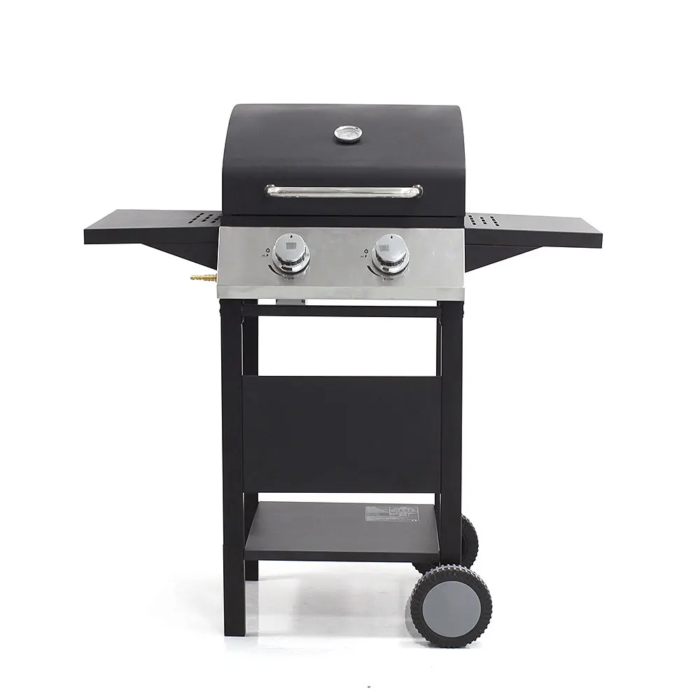 Family Day 2 Burners Gas BBQ Grill Portable Trolley Barbecue Grill Propane Gas Grill Outdoor Garden Party