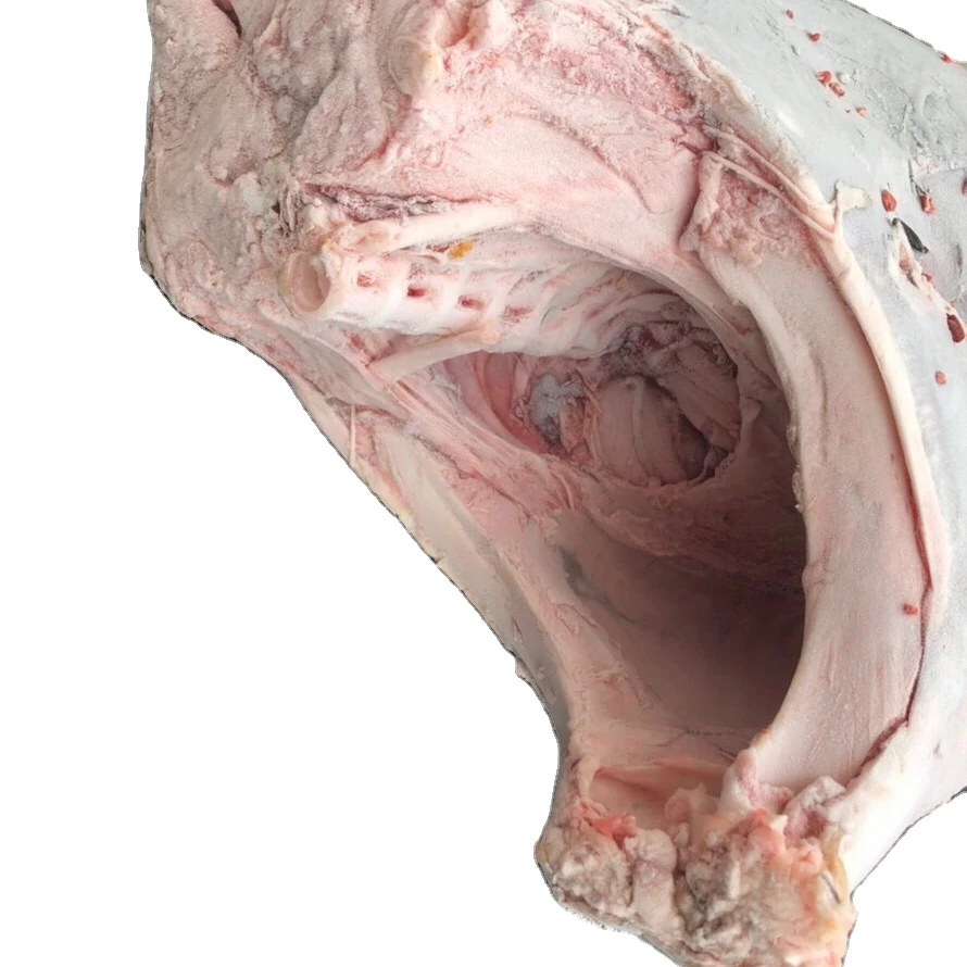 Factory wholesale high quality IQF yellowfin frozen tuna fish for canned tuna