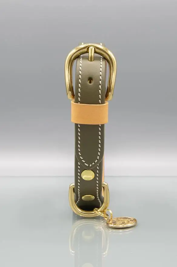 2022 Twinsis High Quality Nature Leather Durable Luxury Comfortable Premium Dog Collar Pet Collar