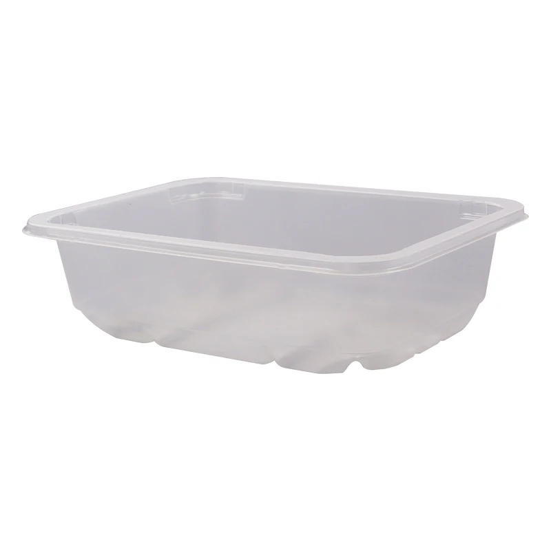 Disposable Blister plastic food container cake box food tray packaging/packing manufacturing