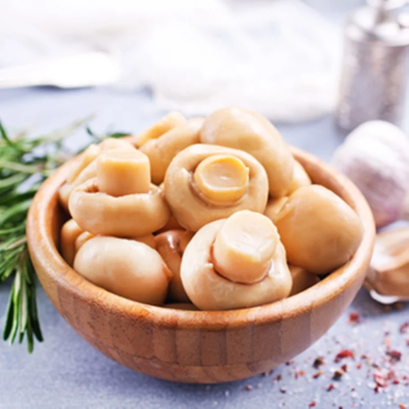 Low Price Mushroom in Can