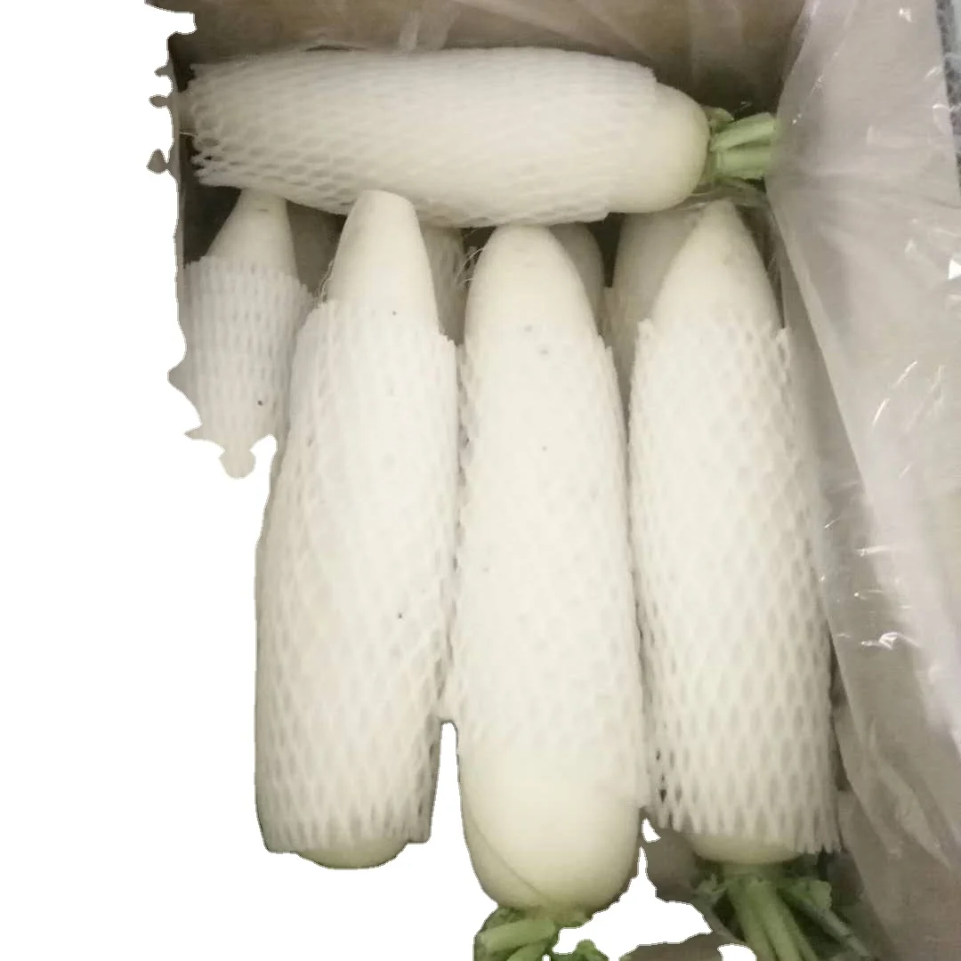 Crop 2023 fresh radish  for Malaysia