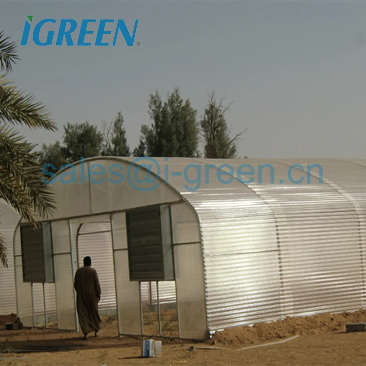 Single tunnel straight wall polycarbonate sheet vegetable greenhouse from China for tractor to go through