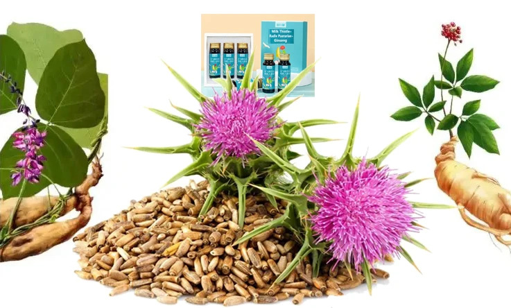 New Batch fashionable liver detox drink, 3-in-1 milk thistle Botanical beverage Anti-inebriation liquid drinks GMP FACTORY