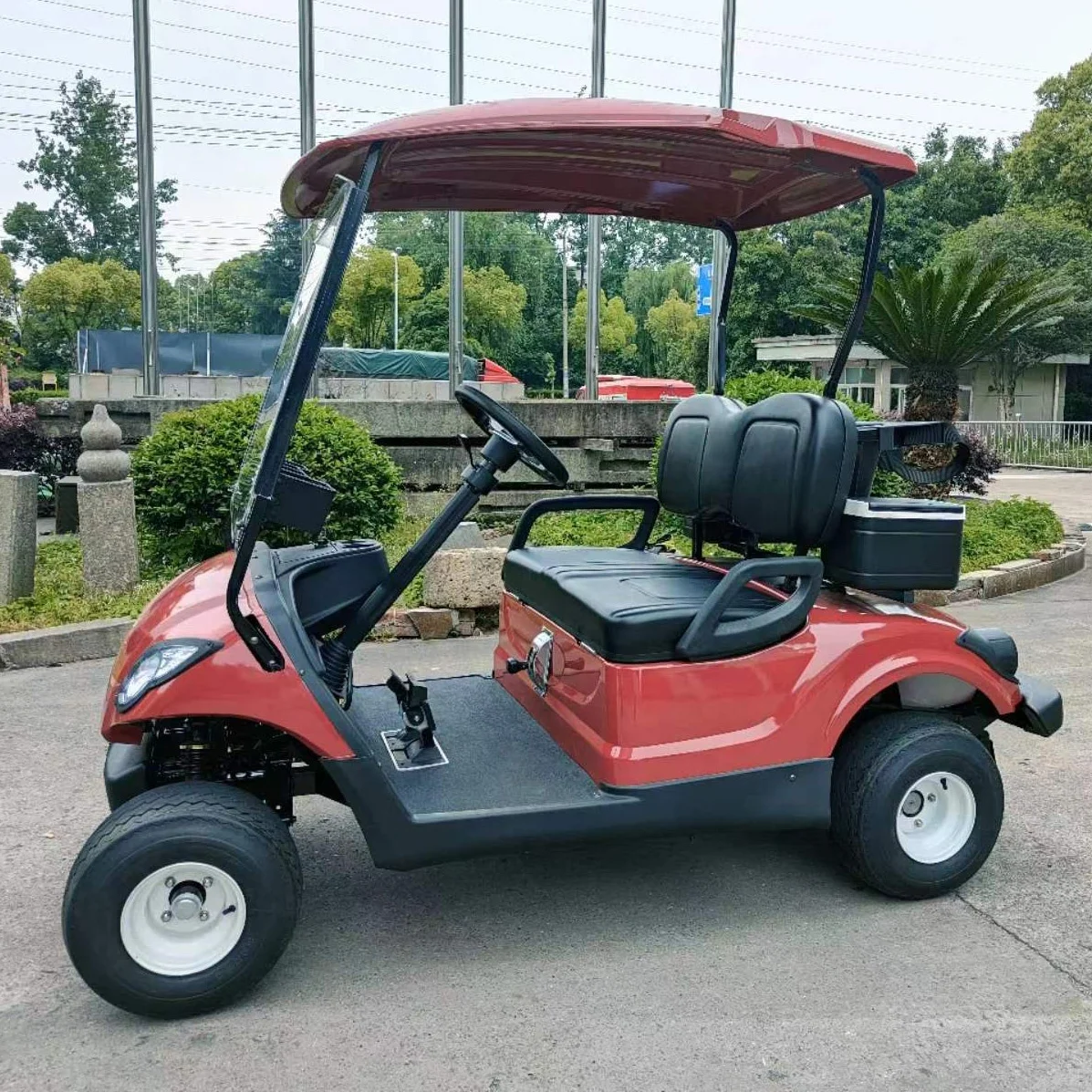 300cc 2 Seater gas powered golf cart with petrol engine gasoline classic two Passengers golf carts