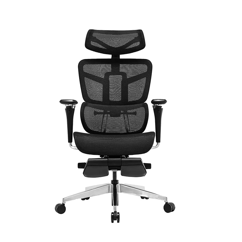 Li&Sung 10126 EVO Ergonomic  5D Armrest Multiple Adjustments Lumbar Support Mesh Chair
