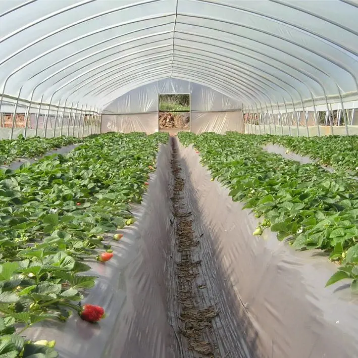 Quality Guarantee Greenhouse Film Uv Treated Plastic Film Greenhouse for Sale