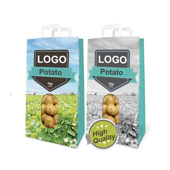 Custom Logo Printing Durable Mesh Net Window 1.5kg 5kg 9kg 10kg 25 Kg Potato Onion Packaging Storage Bag Paper Bags With Handle