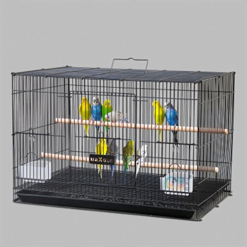 Hot Sale Good Quality Extra Large Bird Cage With Breeding Door Big Parrot Cage bird cage