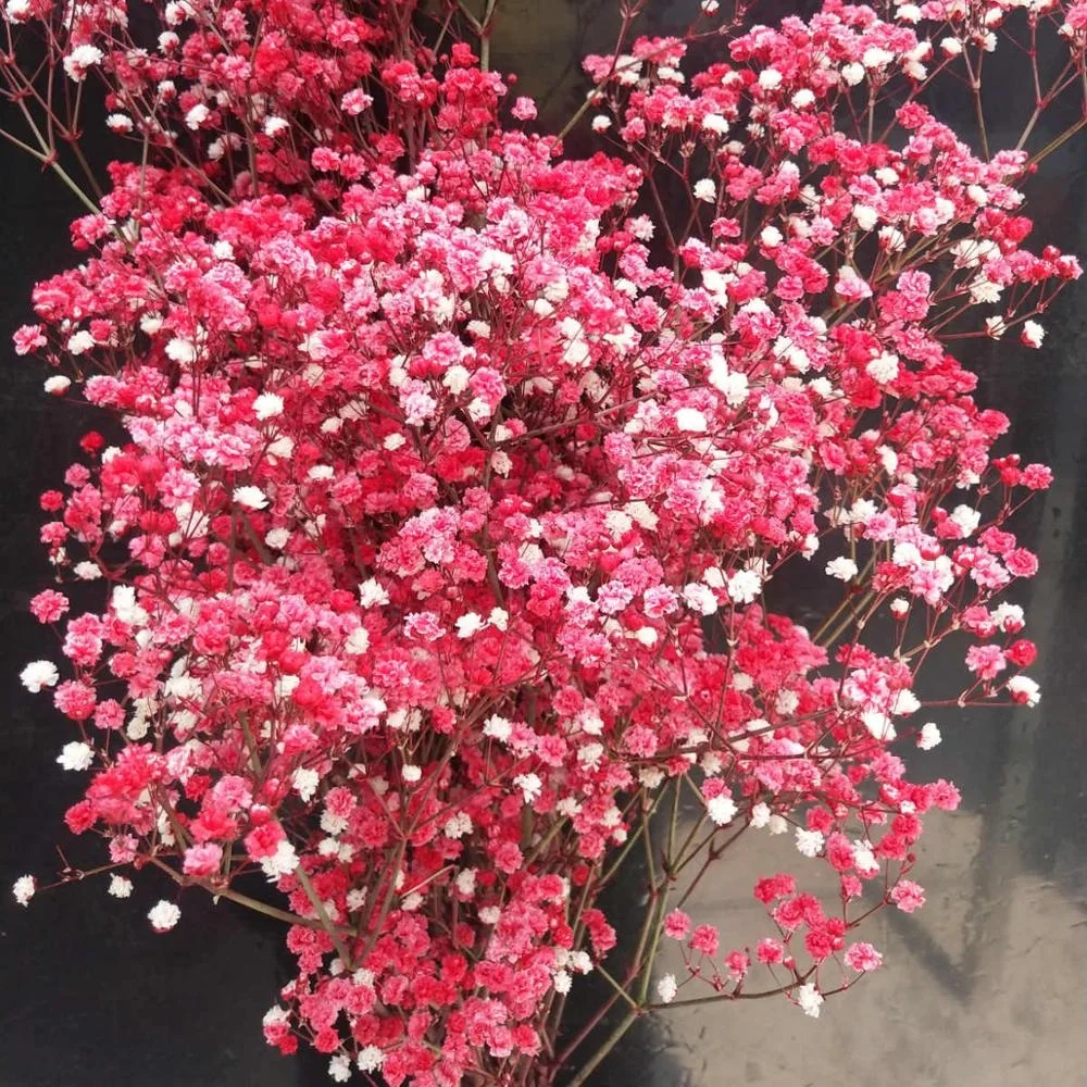  Консервированный цветок babysbreath для домашней цветочной композиции 1 комплект из 100-120 граммов изготовления изделий ручной