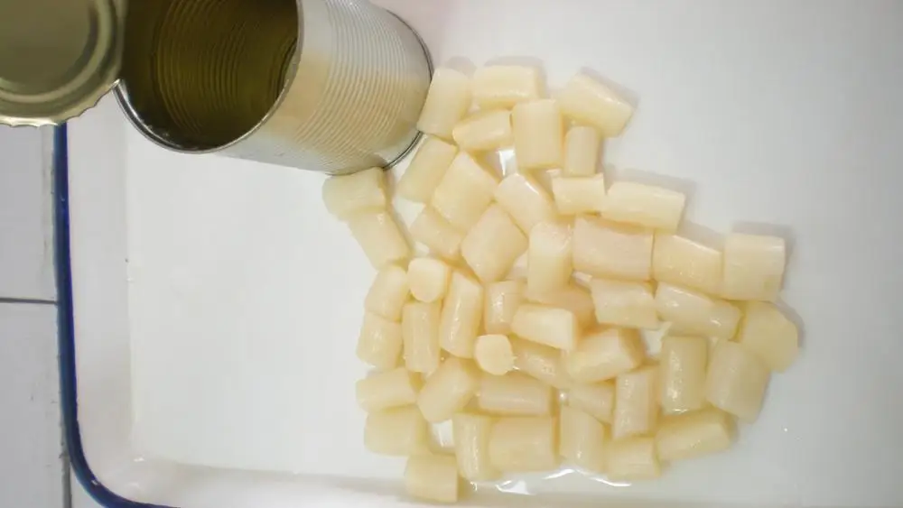 Canned White Asprargus Organic Tinned/Glass Jar Vegetables Wholesale