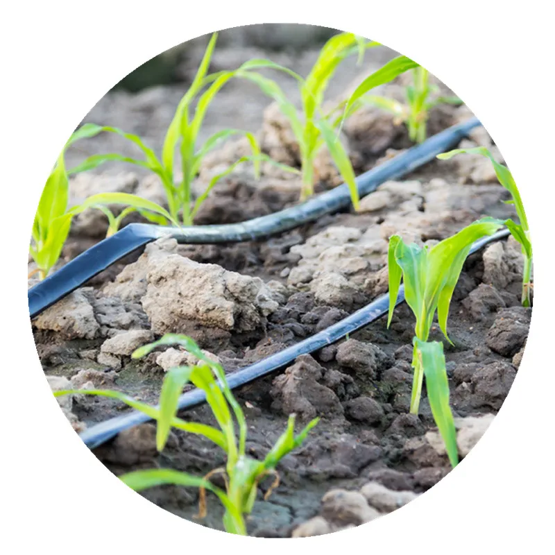 hot sale 1.37L/H Drip Tape for irrigation system