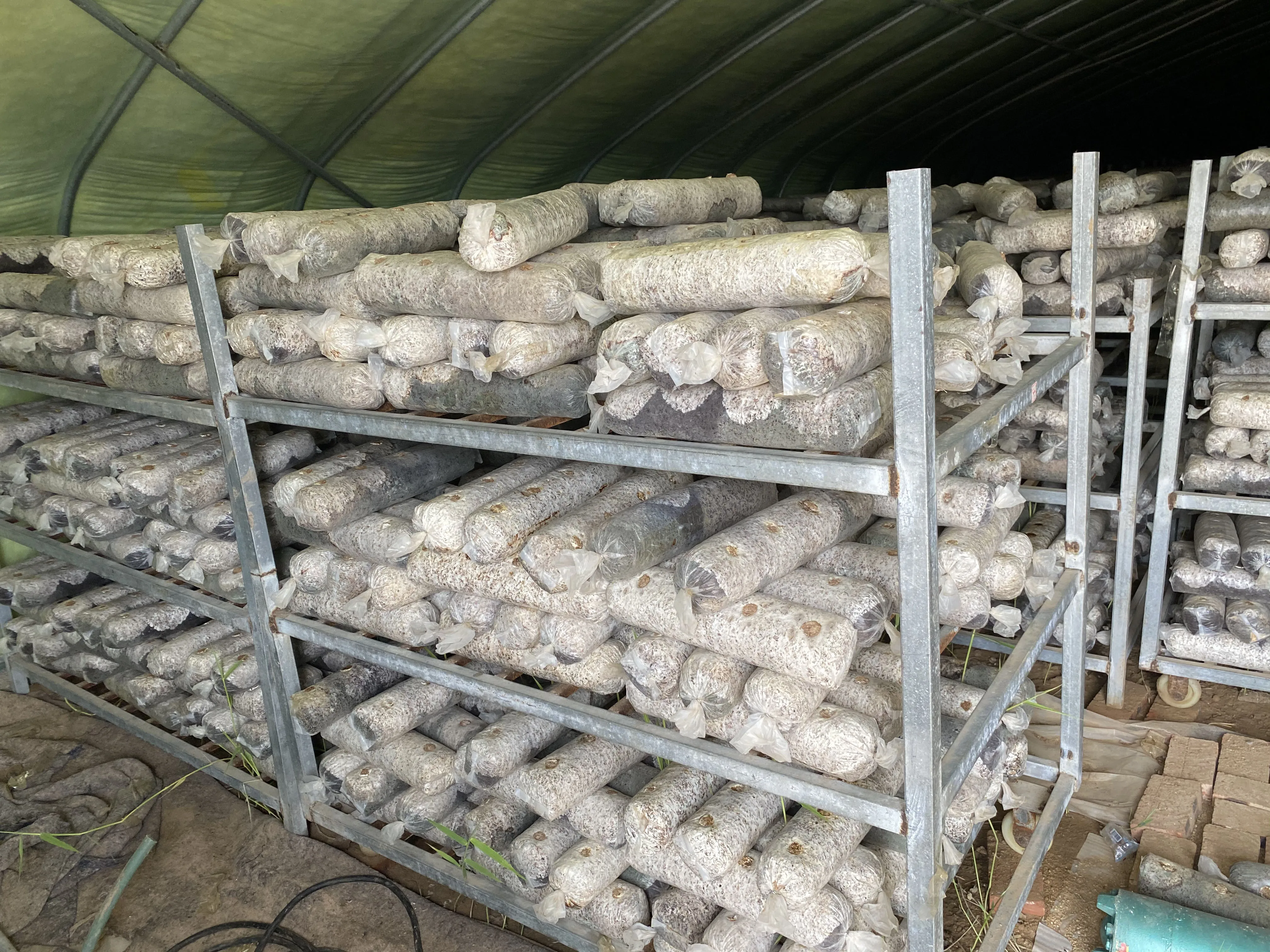 High quality edible fungus cultivation system   mushroom climate control