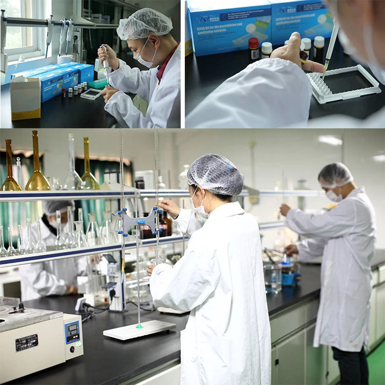 honey miel/honey source manufacturer is pure soil, large Chinese apiary