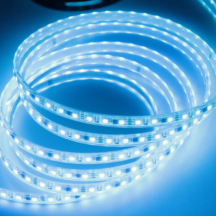 SHIJI Waterproof DC12V 10mm Width LED Flexible Neon Strips 60 leds/m SMD5050 Smart RGBW 1903 LED Strips Light