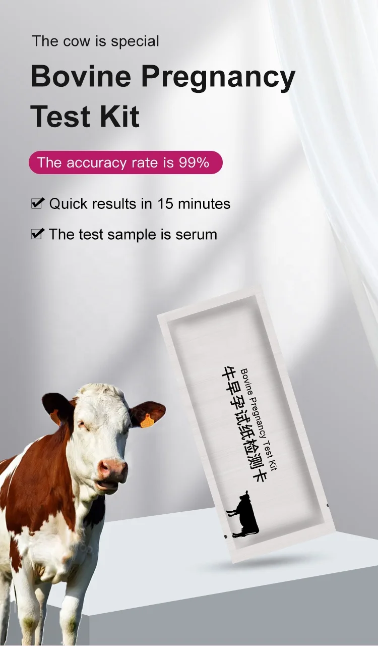 Cheapest Bovine Pregnancy Test Kit For sale cows cattle