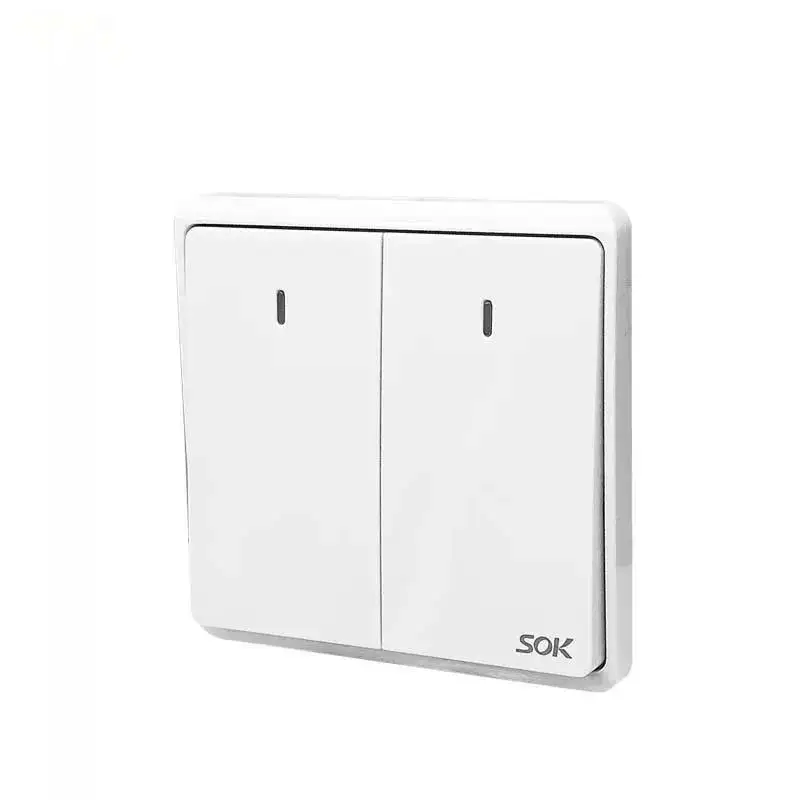 wall switch 2gang1way wall switch with Neon 250V 16A light switches with CE certification China factory and supplier