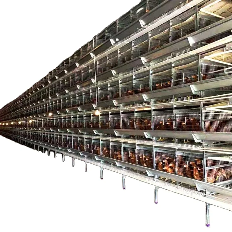 Дешевая многослойная куриная клетка типа d, коммерческая куриная клетка farmining, емкость 2000, горячая распродажа