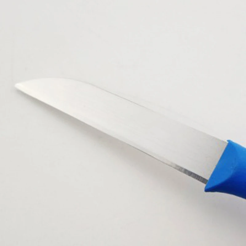 Classic stainless/steel Tomato and Table Knife Ideal for Cutting Fruits and Vegetables knife with Plastic handle