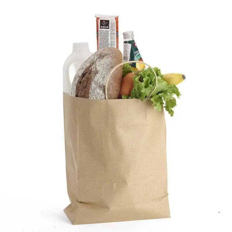 Brown Kraft Paper Bag Eco-Friendly Disposable CMYK for Food Carrying Shopping and Gifts Hot Selling from China Manufacturer