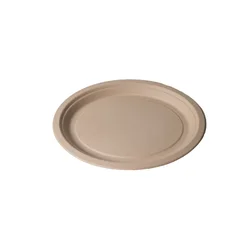 Food Grade 100% Biodegradable Bamboo Pulp Containers Disposable Trays With