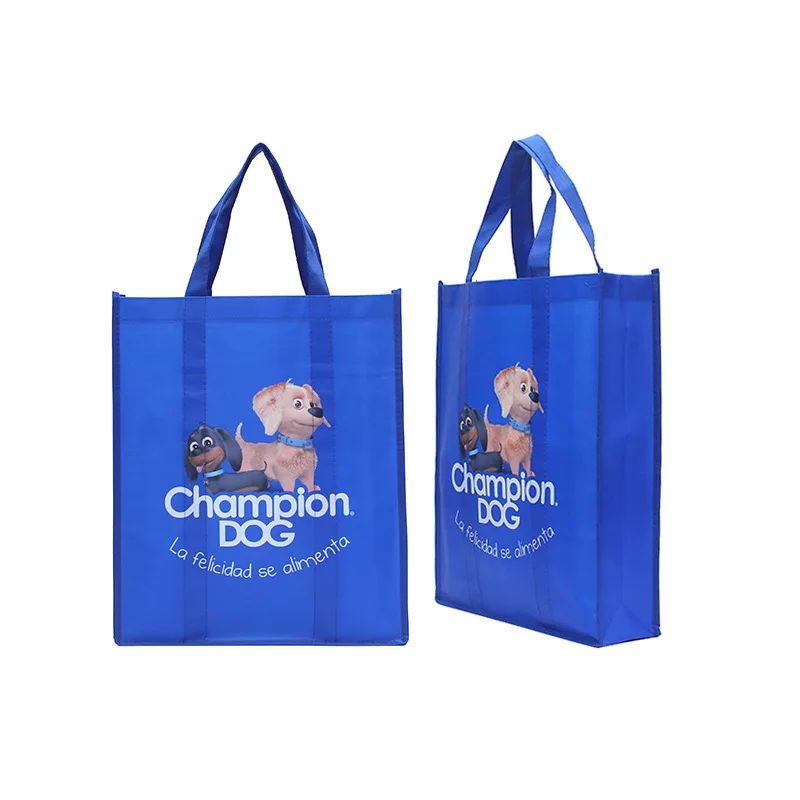 Eco Friendly Recyclable Customized print promotional non woven bag pp non woven shopping bag printing