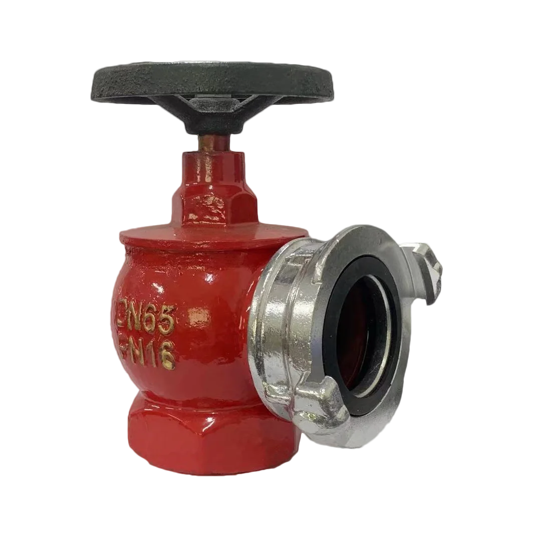 Cast Iron Landing Valve manufacturers  Indoor Fire Hydrant SN65 Russian Style Cast Iron