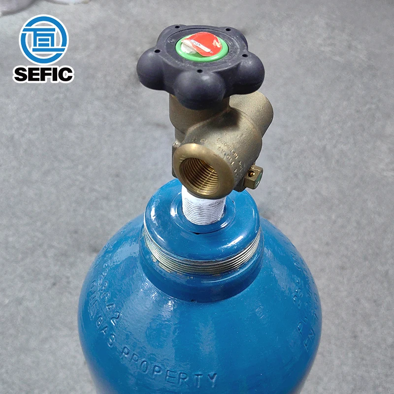 ENISO9809-1 E Size 23.6L TPED Argon Gas Cylinder With T10 Valve For Australia New Zealand Market