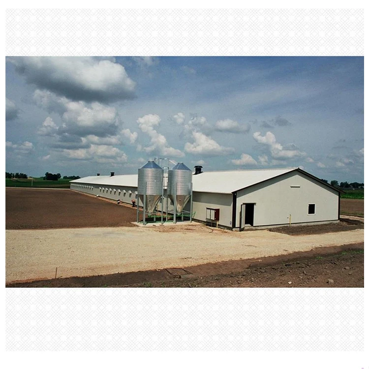 Free design prefab chicken farm building prefabricated steel structure chicken house