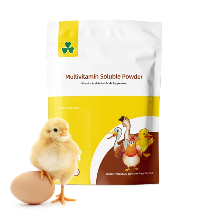poultry multivitamin supplement growth regulator chicken premix