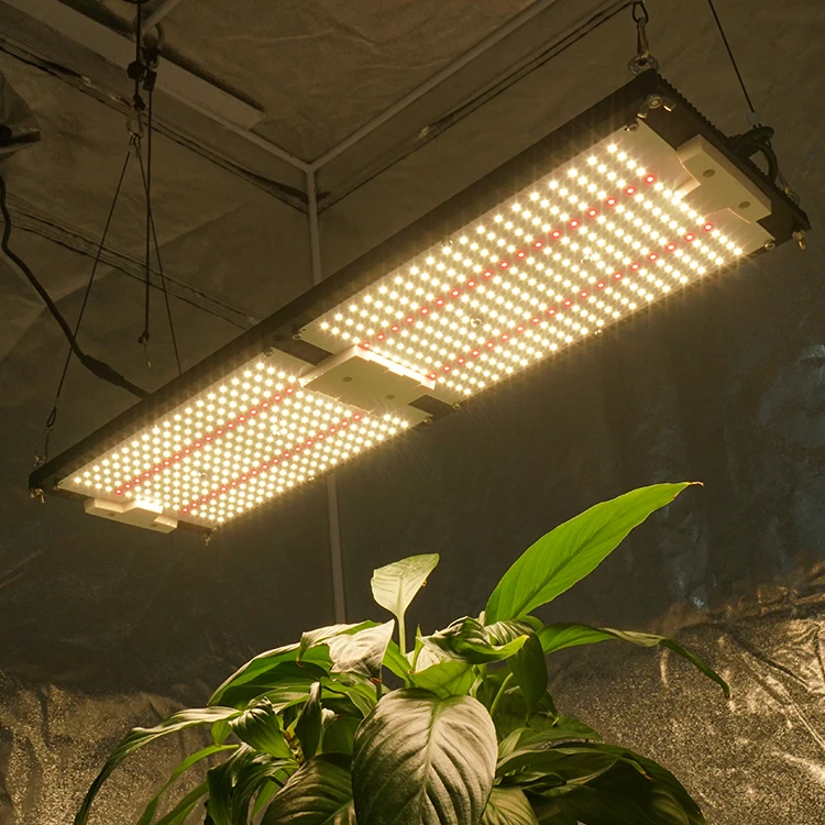  Kingbrite 240W 2021 hot sale lm301h with red 660 qb288 v3 Panel Board grow light digital