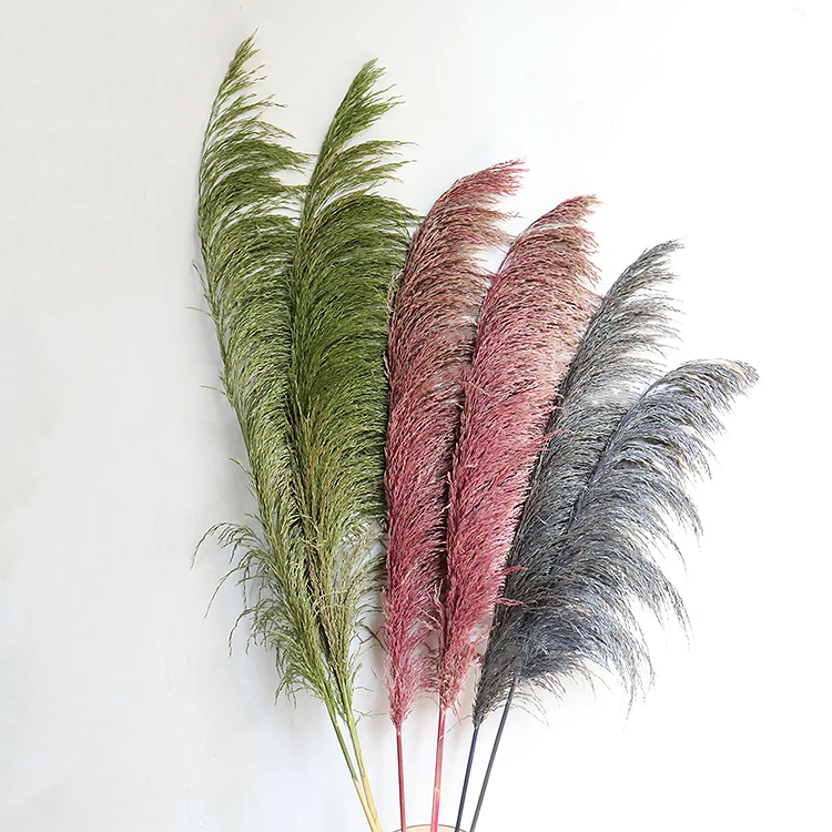 GH-47 Amazon source manufacturers cheap wholesale natural dried flowers hardcore reeds wedding decorations decorative flowers