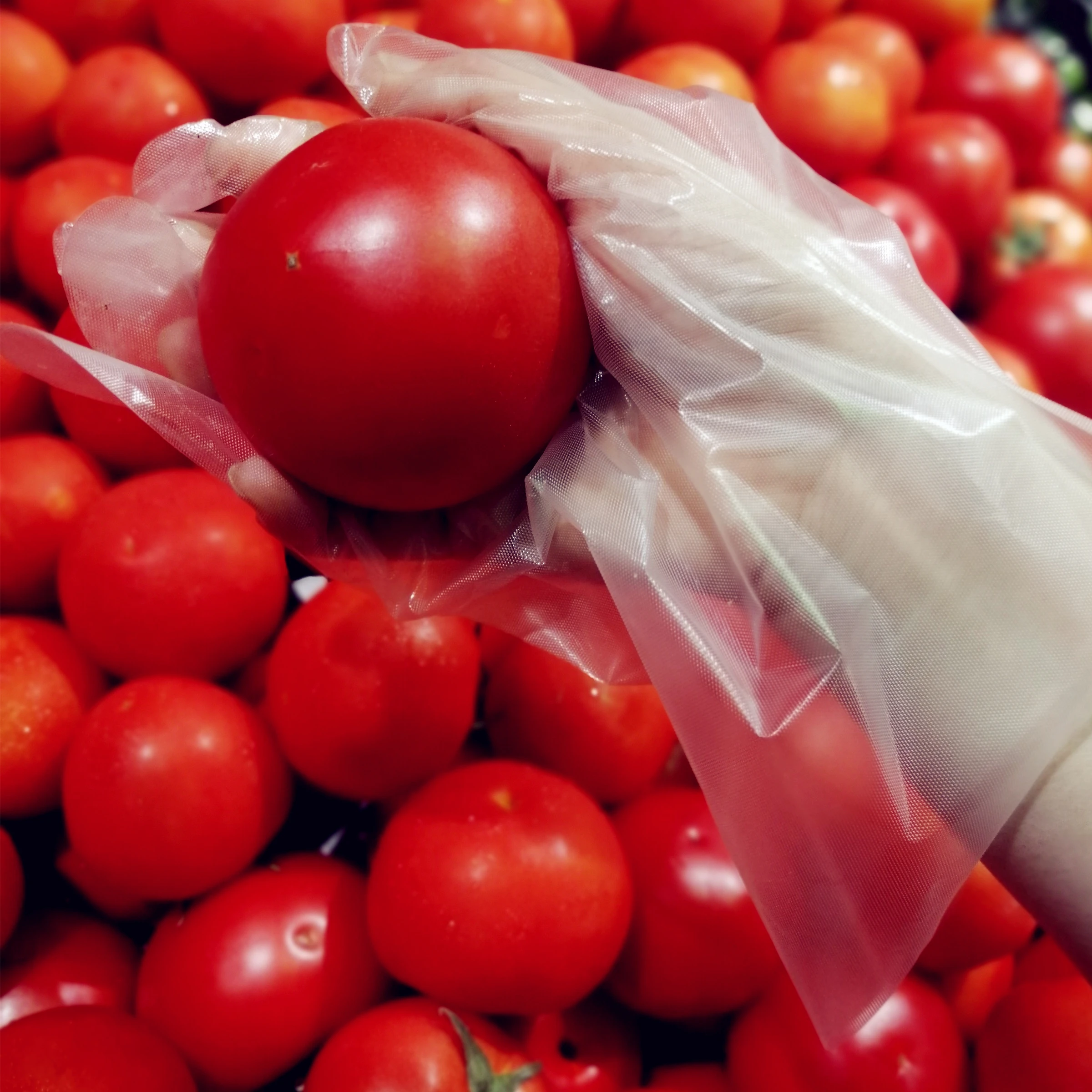 Powder Free Hybrid Food Safe TPE Blue Stretch Gloves Medium (Box of 100)