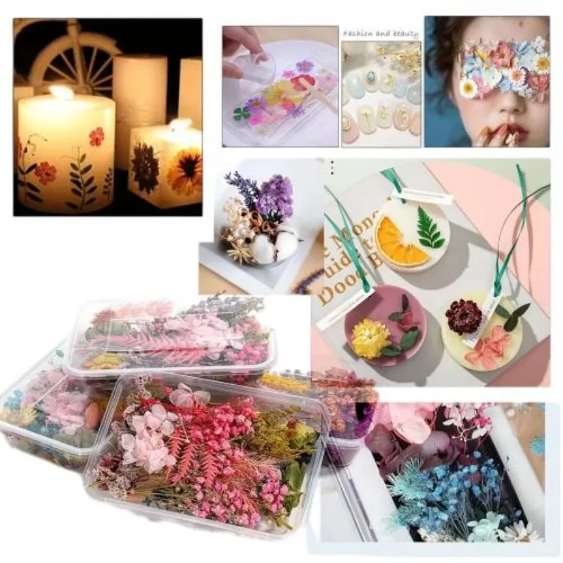 Wholesale Dried Set Crafts Random Colors  Flower Pressing Toys