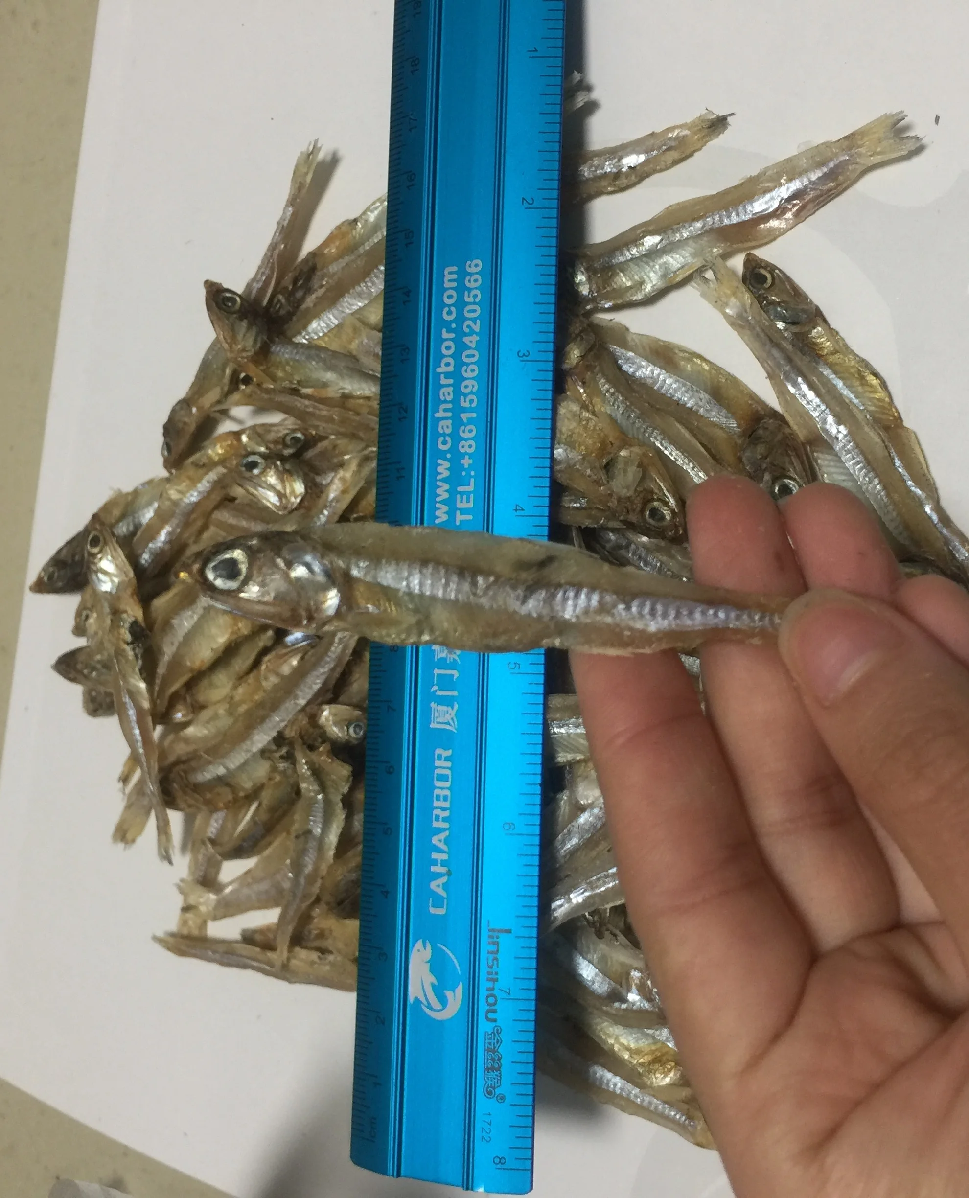 Grade AAA Quality High Nutritive Dry Anchovy Fish