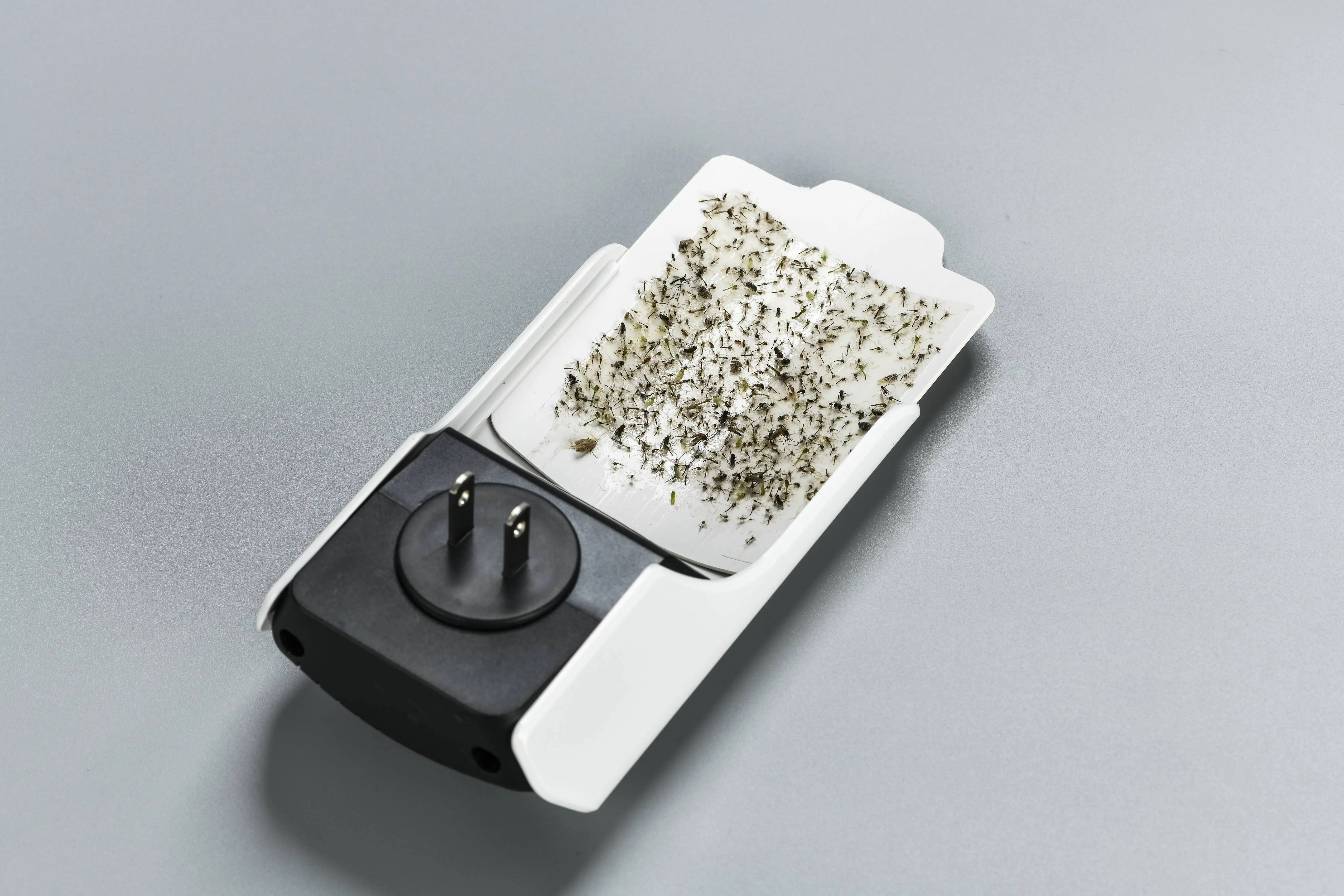 Fly indoor insect plug-in mosquito killer insect catcher with night light ultraviolet absorber suitable for home and office