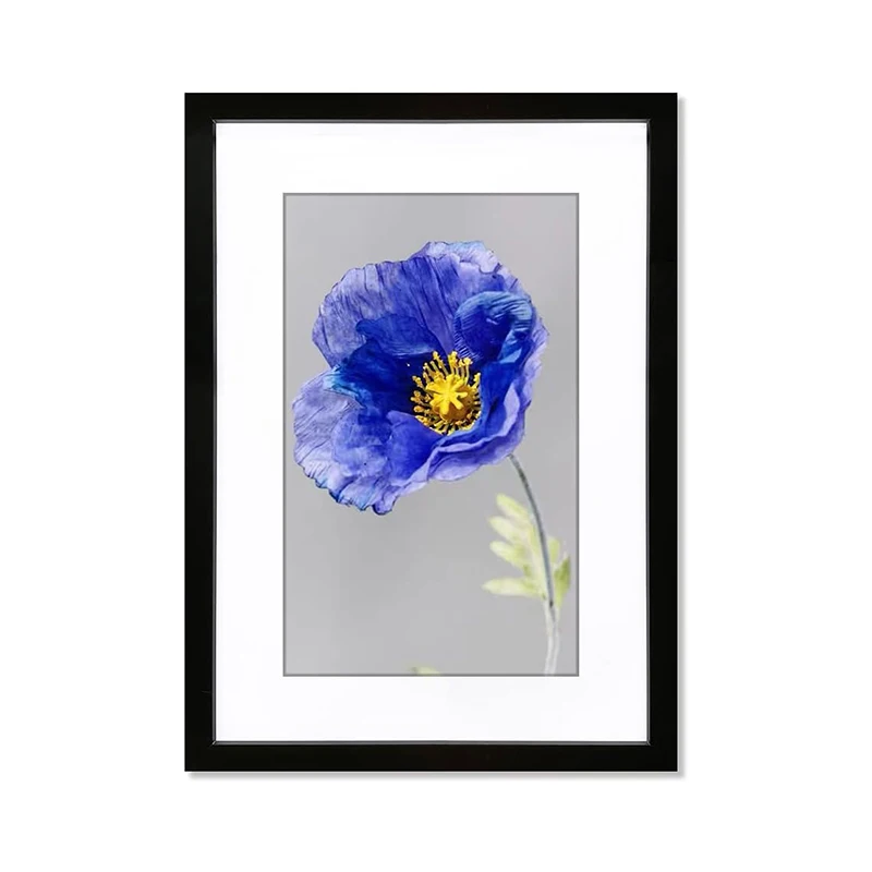 Customized 20x28inch Wood Picture Frame Perfect for 20x28 Inch Picture Without Mat or 16x24 Inch Picture with Mat Wall Hanging