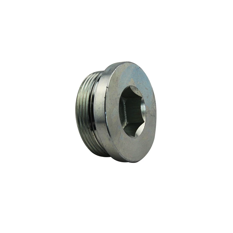 4BN-WD carbon steel head with  ED ring seal hydraulic inner hex square head plug