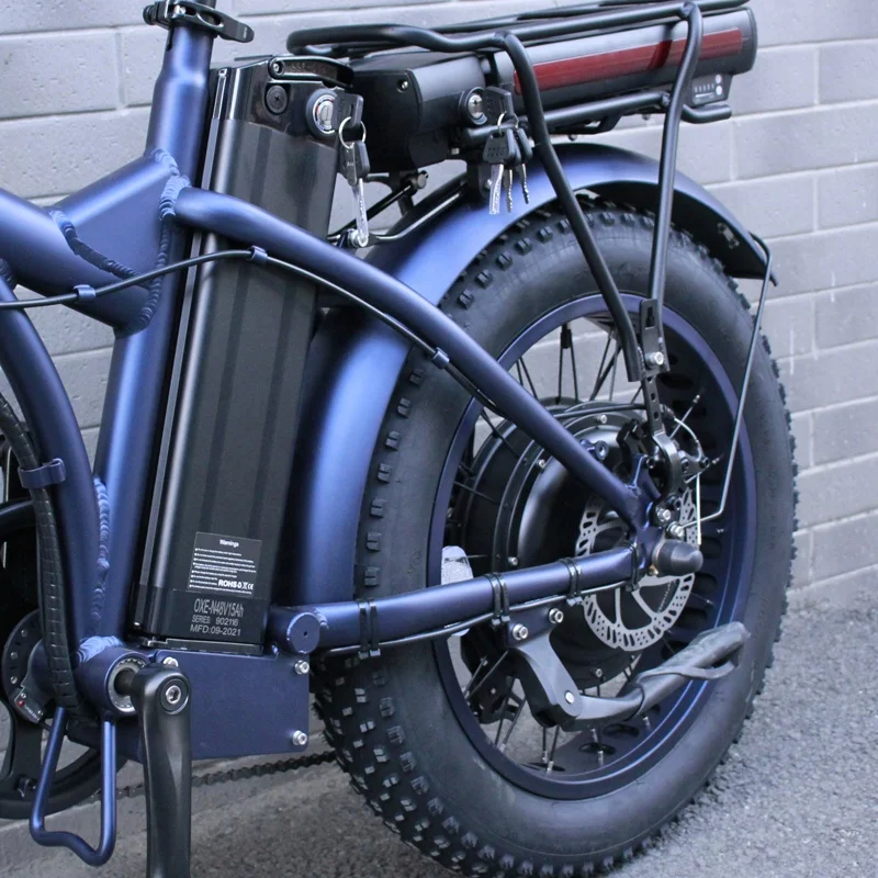 130Km Long Distance Riding 25Ah Dual Lithium Battery Ebike 20Inch 48 500W 750W 1000W Adult Folding Fat Tire Electric Bicycle