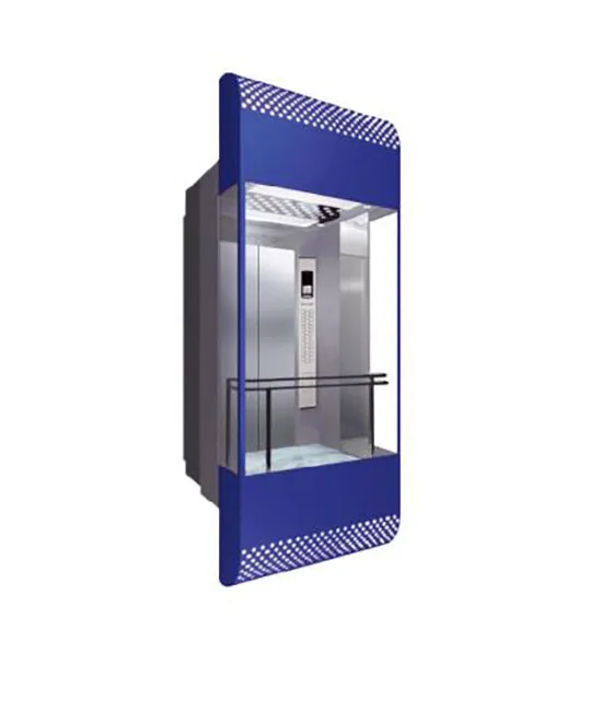 MSDS Factory Direct Sale 2-6 Storey Panorama Elevator Sightseeing Elevator with  630kg 800kg 1000kg Capacity