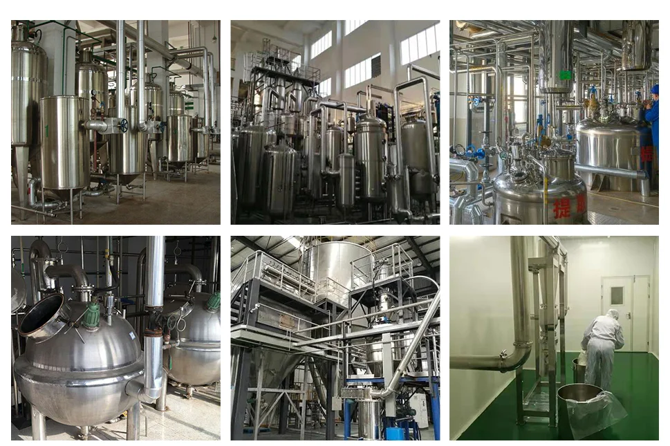 Hot sale nature plant extract powder HPLC tongkat ali root extract 50:1 100:1 200:1 1%-12% eurycomanone long jack extract powder